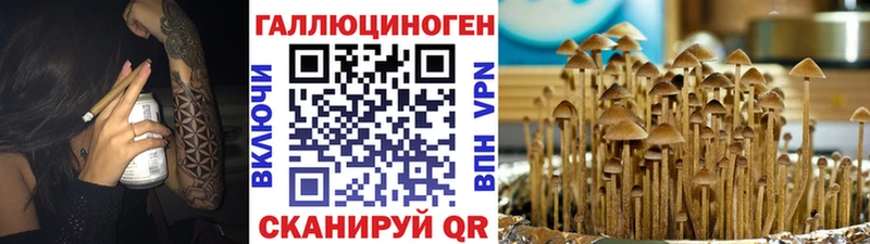 Псилоцибиновые грибы MAGIC MUSHROOMS  где купить наркотик  Карабаш 